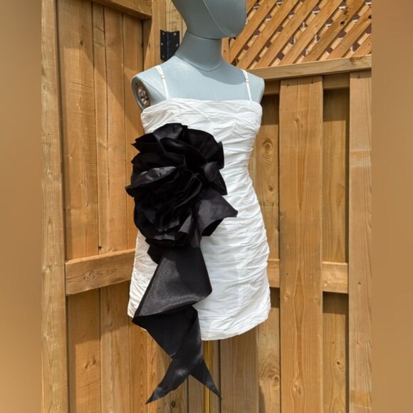 🆕 AJE 🧿 NWOT Potion Spiral Mini Dress, White / Black - Sz AU 10 US 6 - Picture 10 of 15